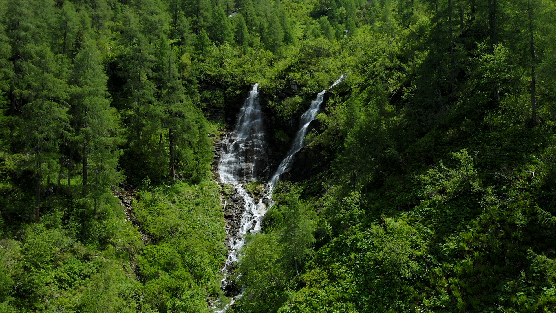 Aerial fly out from waterfall in pinetree forest on sunny summer day. Austria, Tyrol
