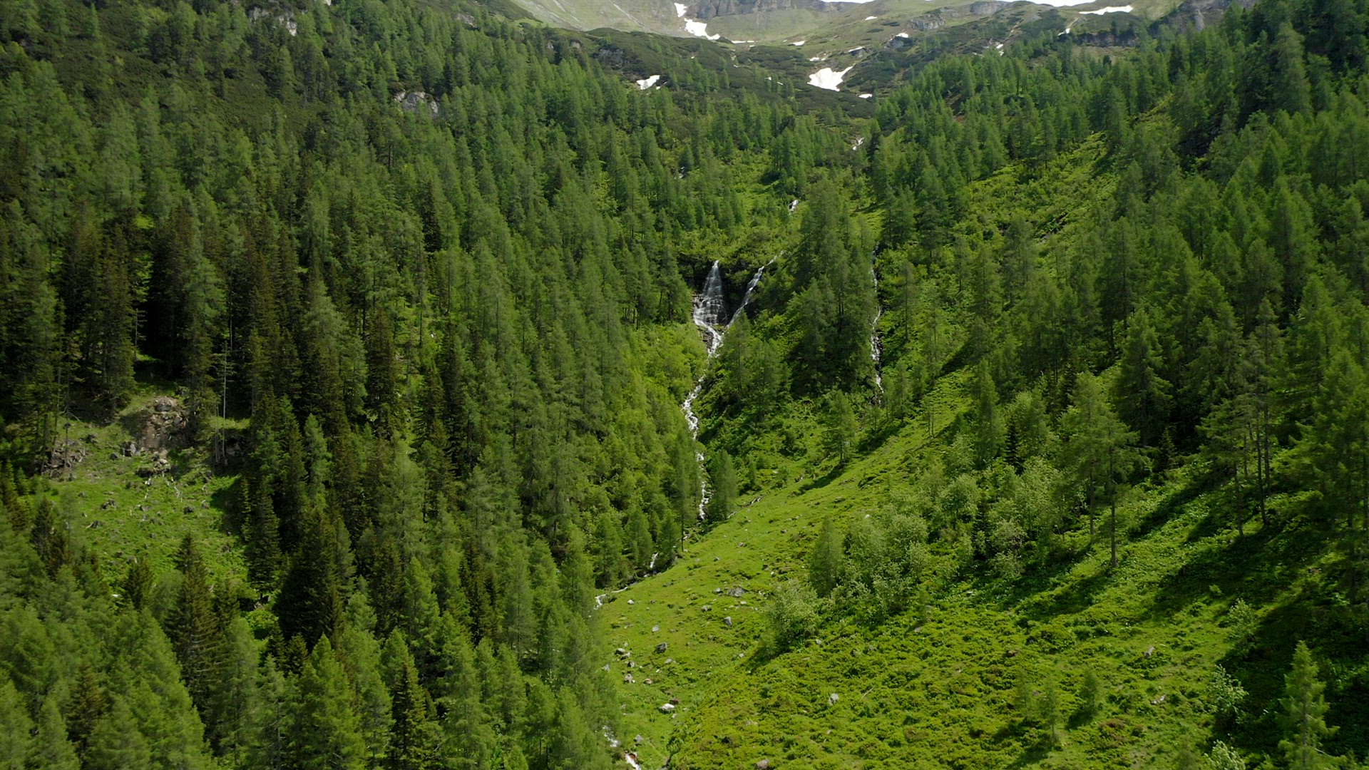 Aerial establishing footage of small waterfall and reveal in pinetree forest in summer season. Austr