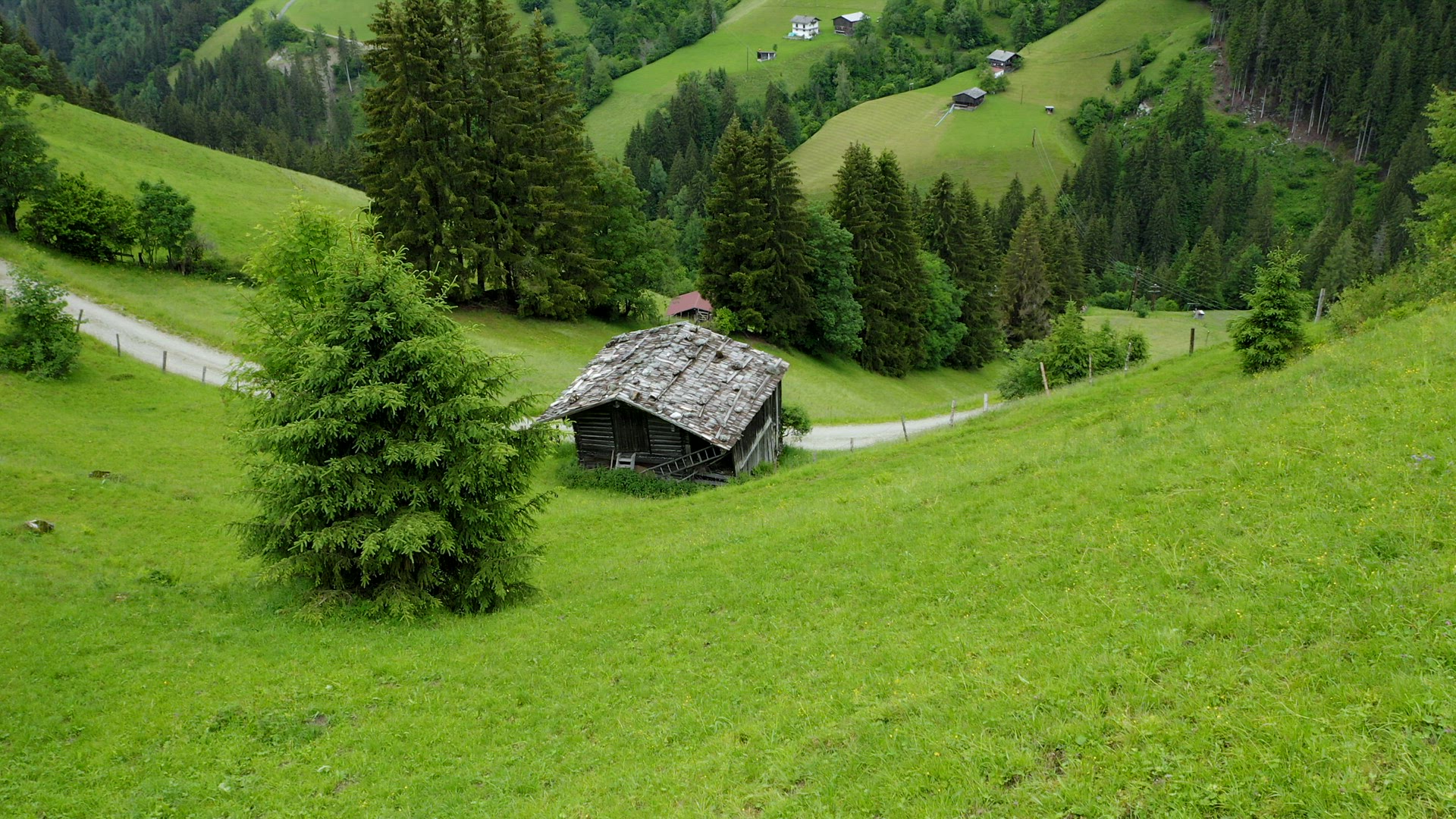 Aerial view of old wooden hut, green meadow and pine trees Breathtaking natural summer outdoor lands