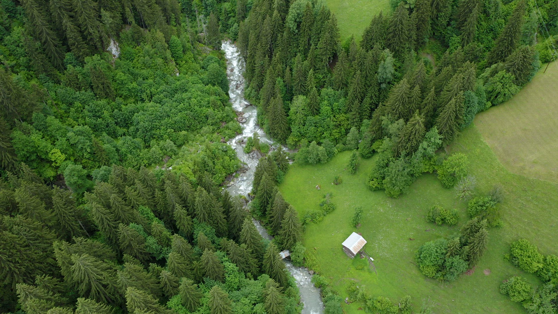 Summer season mountain river and pine tree forest aerial still footage. Breathtaking top down natura