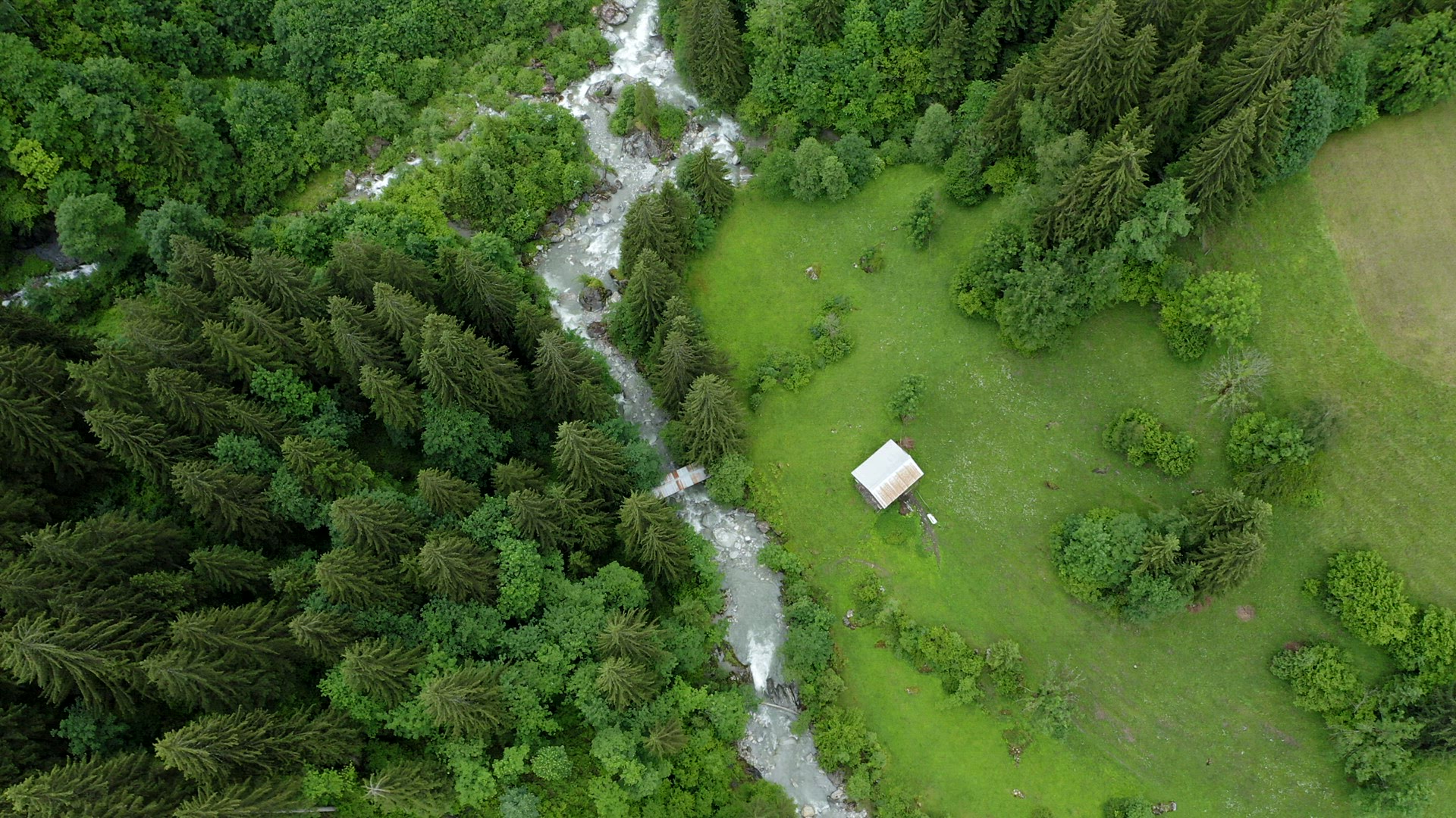 Summer season mountain river and pine tree forest aerial footage. Breathtaking top down natural land