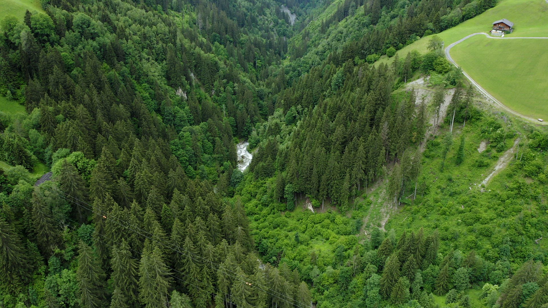 Aerial fly in alpine mountains with pinetree forest and river. Breathtaking natural summer outdoor l
