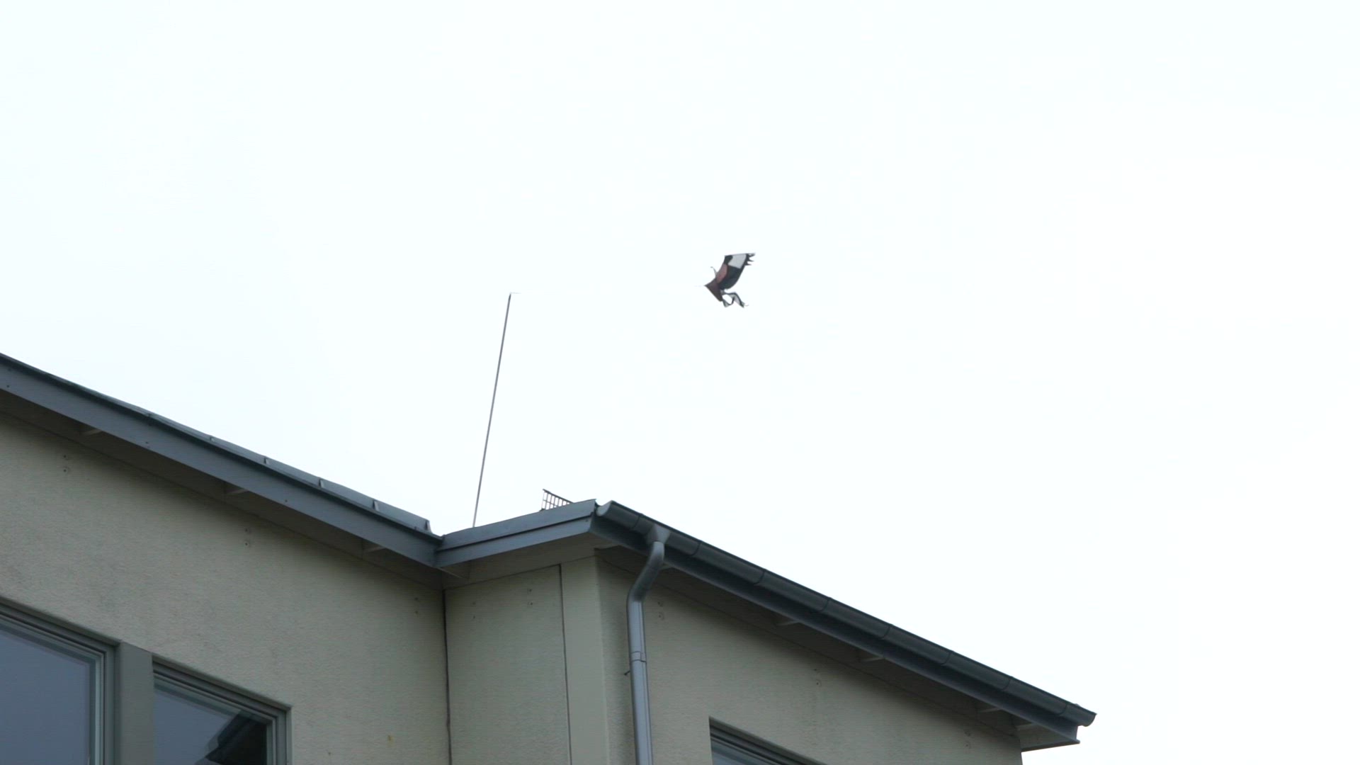 bird scarer - scarecrow on tenement house roof -  slowmotion shot