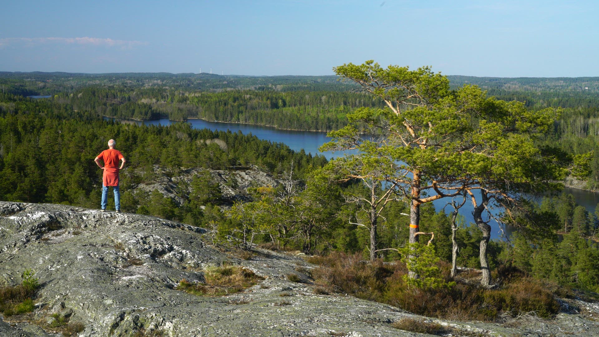 man walking on bare rocks at viewpoint in swedish forest - 