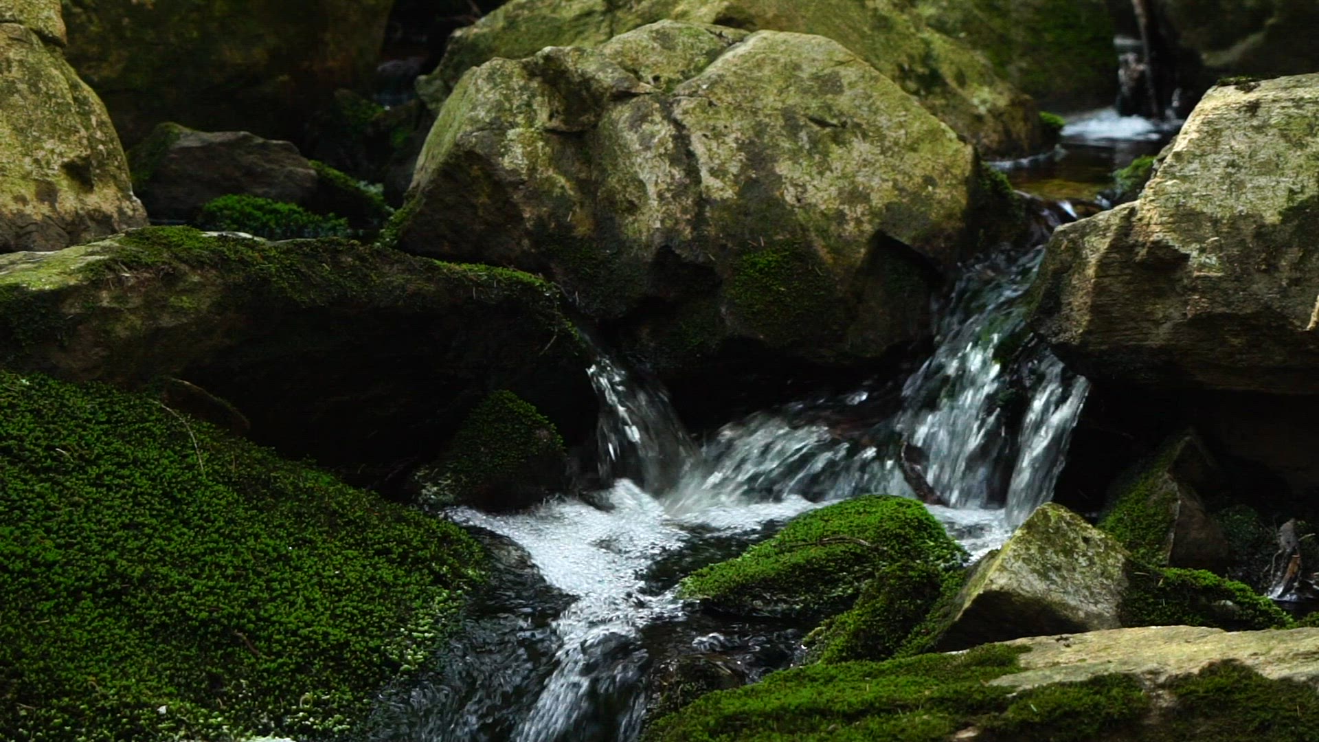 streaming water in swedish forest - slowmotion shot  - brook - rill