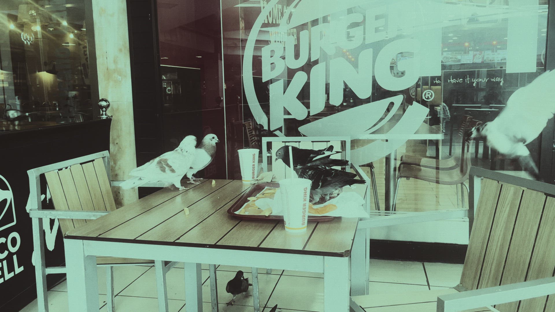 Pigeons are sitting on a cafe table