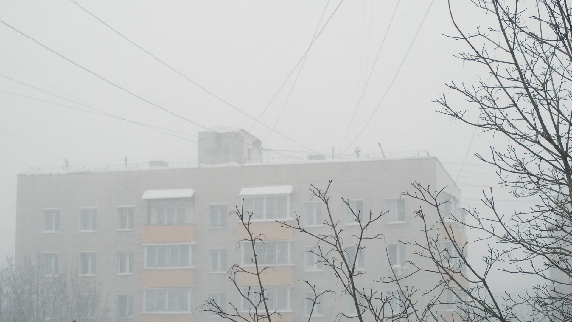 Snow blizzard - Wide shot