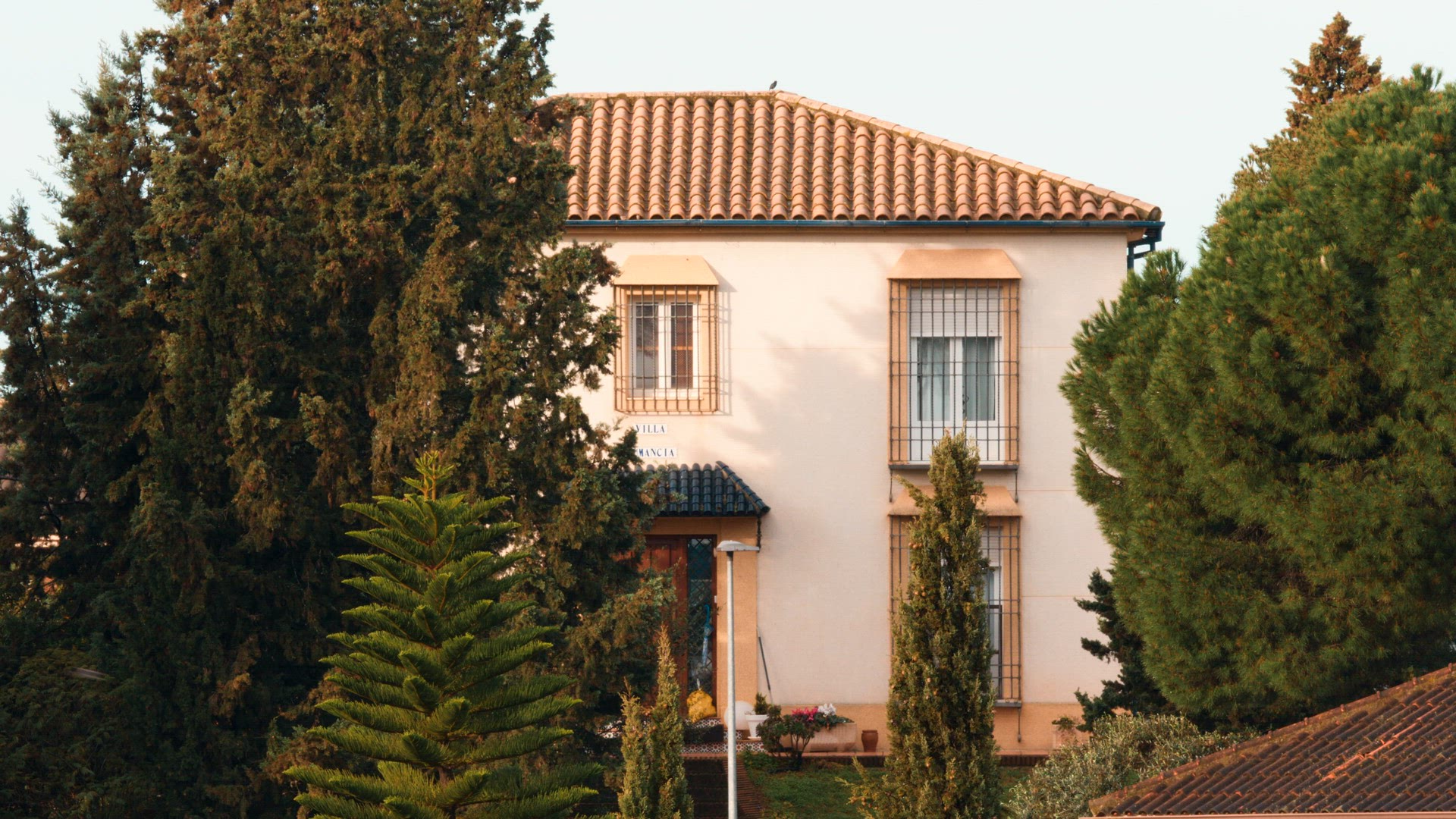 Outside view of two-storey house with pine trees growing nearby