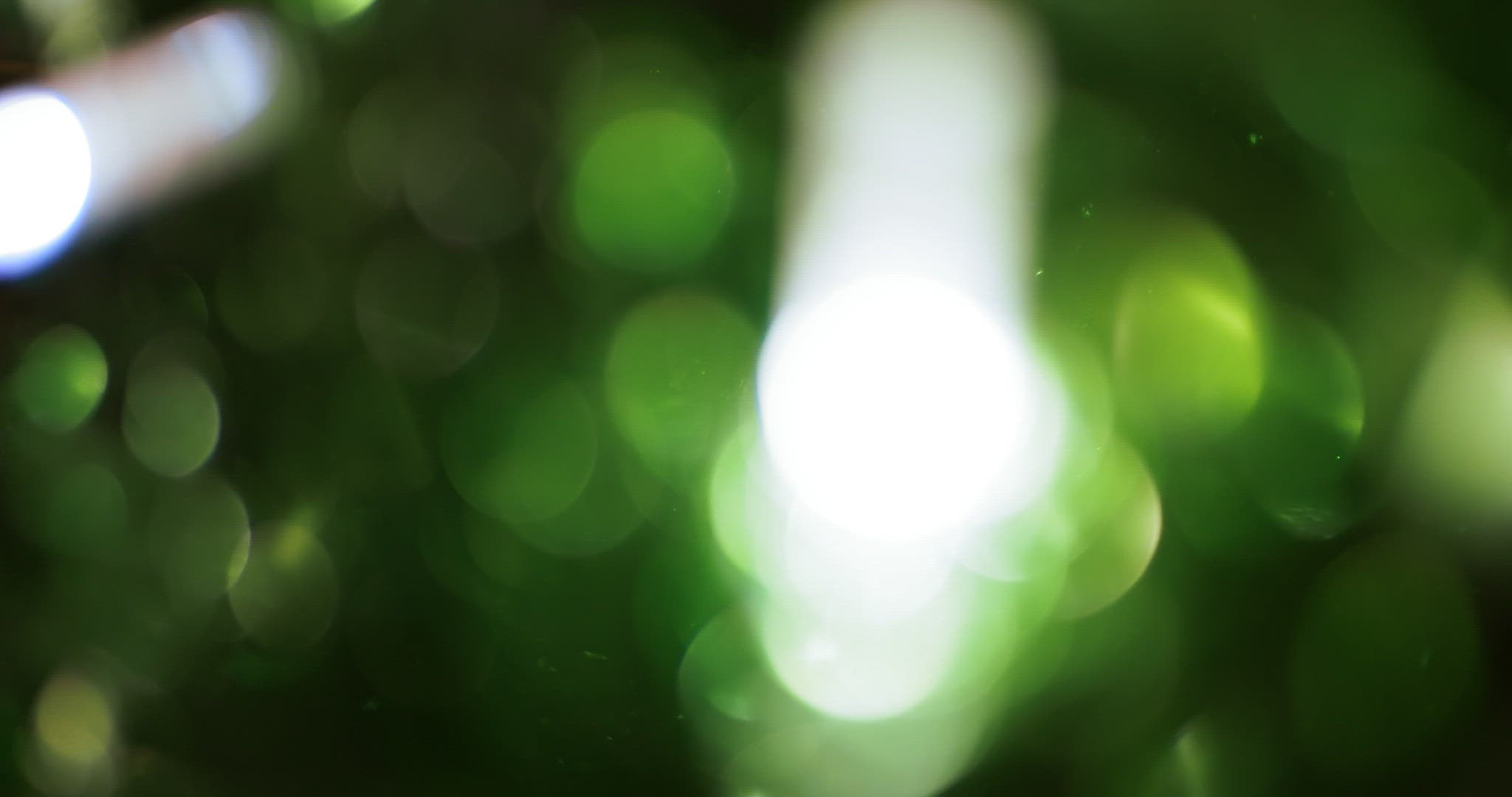 Child and illuminated Christmas tree