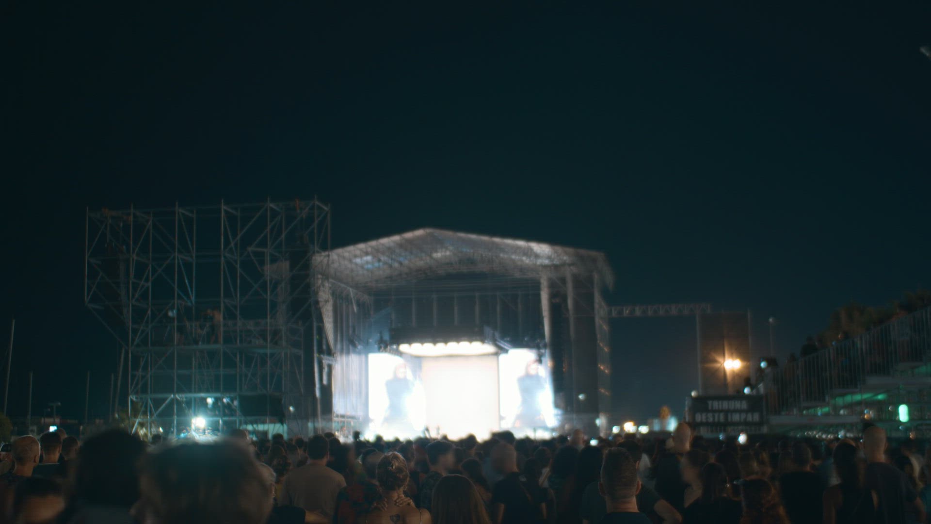 Musical festival with vibrant performance and crowd enjoying the night