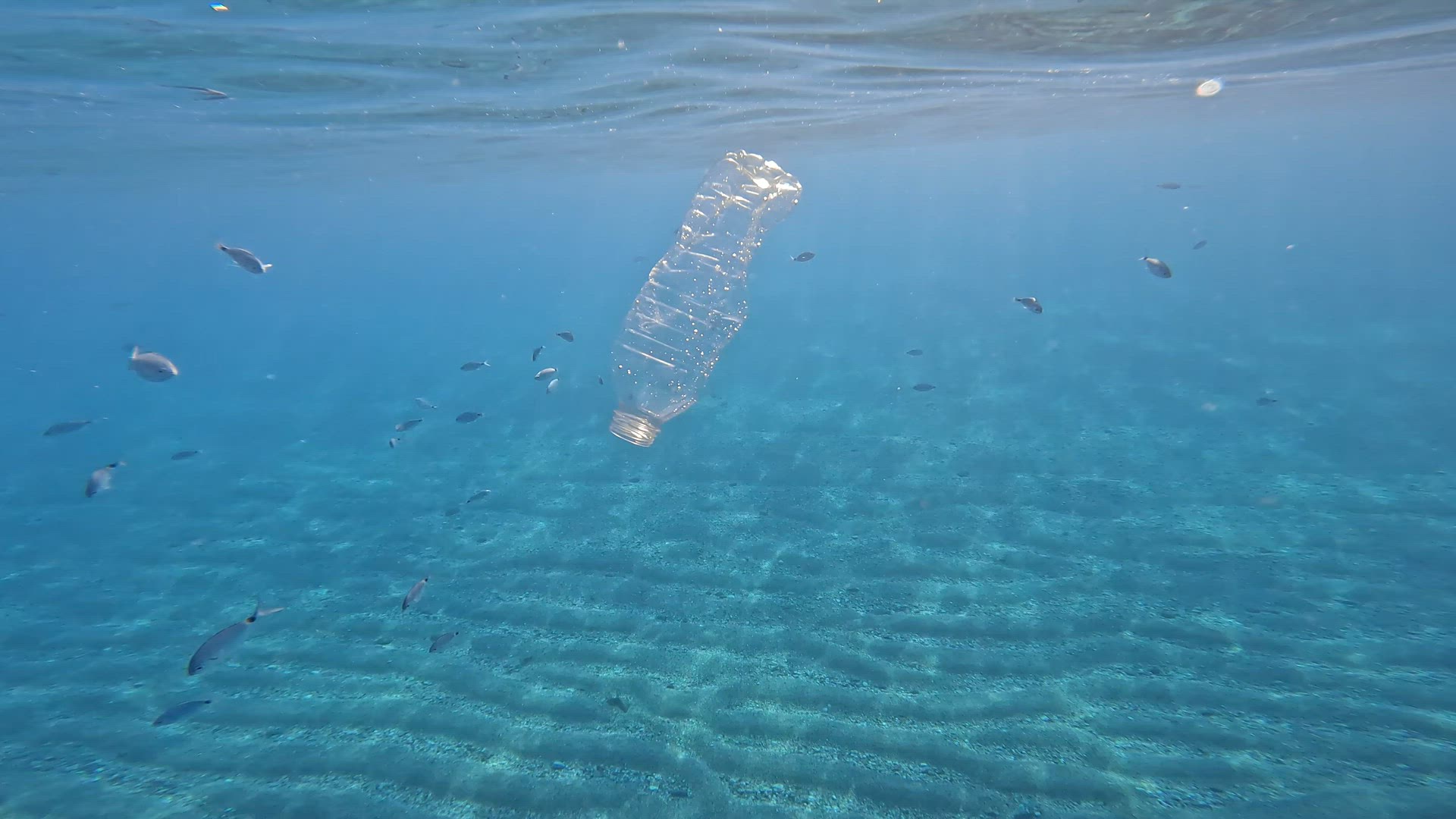 Plastic trash swims in the blue water