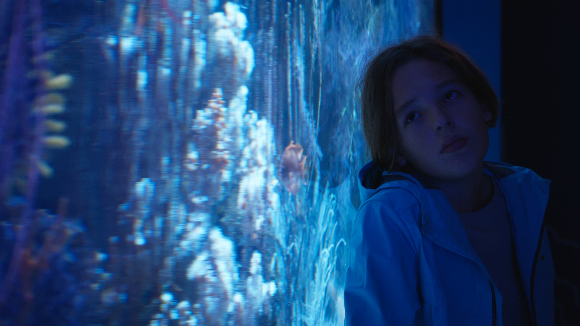 Teenage Boy Watching Aquarium in Oceanarium