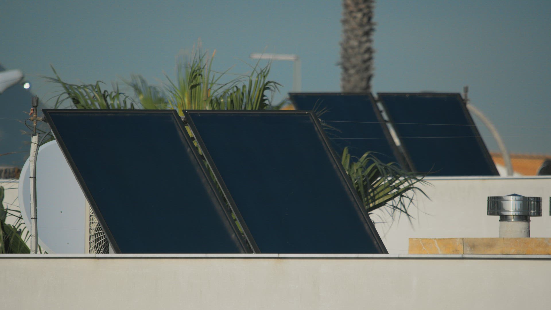 Tropical solar panels - harnessing the power of the sun