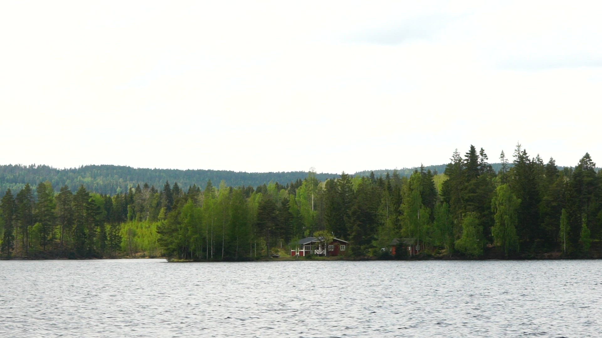 summer cottage in forest close to lake - slow motion shot