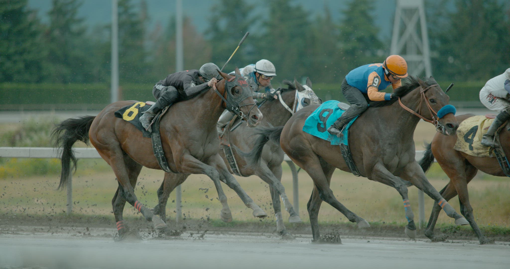 Horse Racing