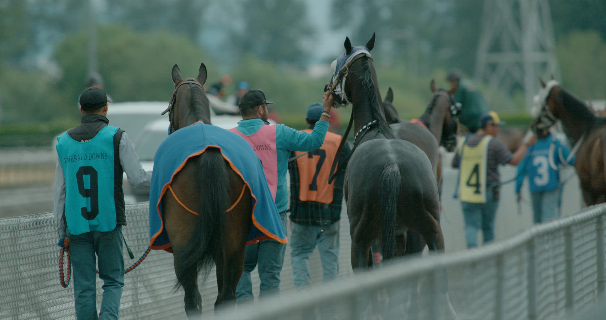 Horse Racing