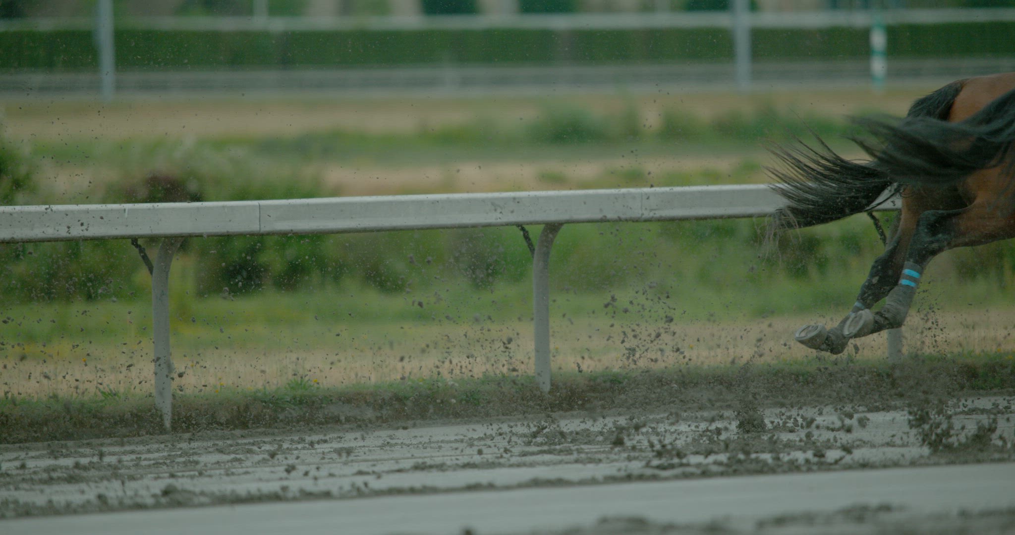Horse Racing