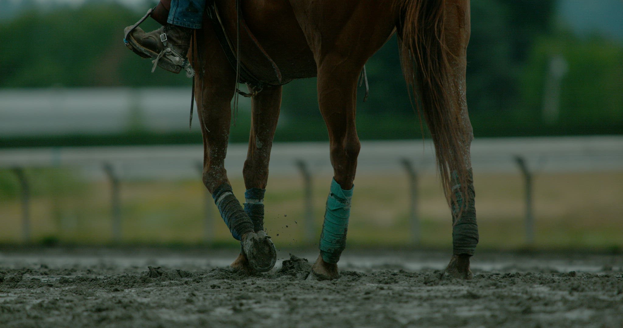 Horse Racing