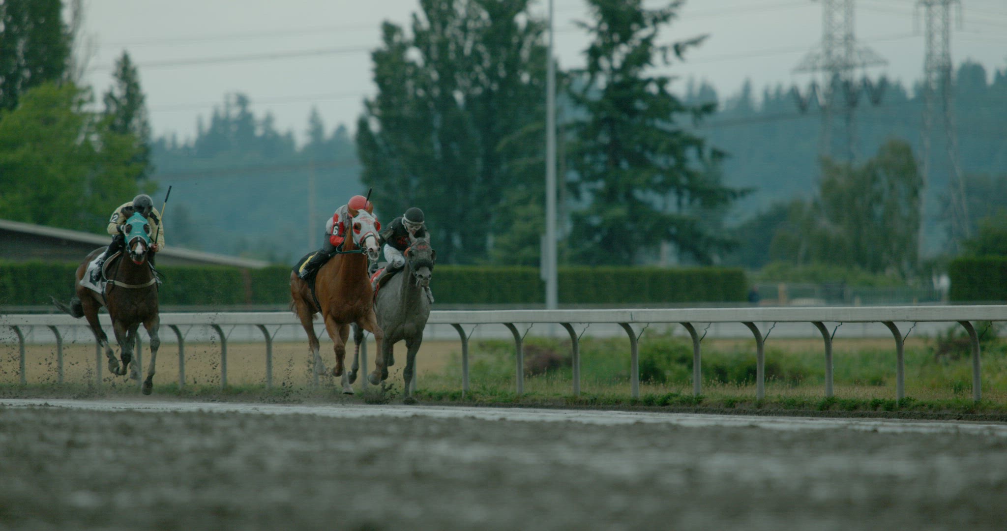 Horse Racing