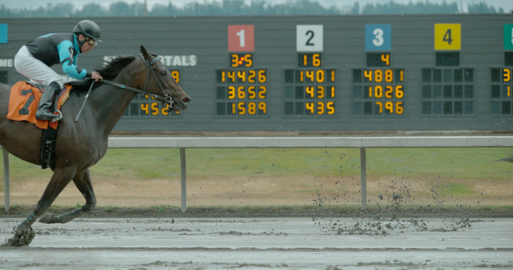 Horse Racing