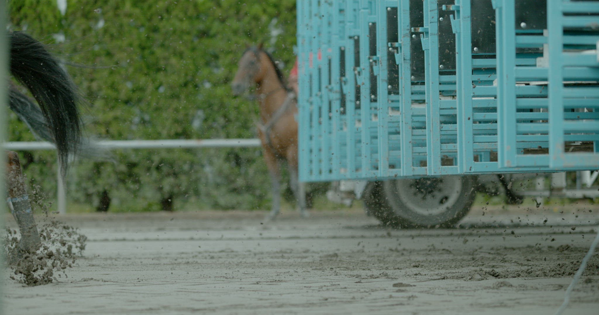 Horse Racing