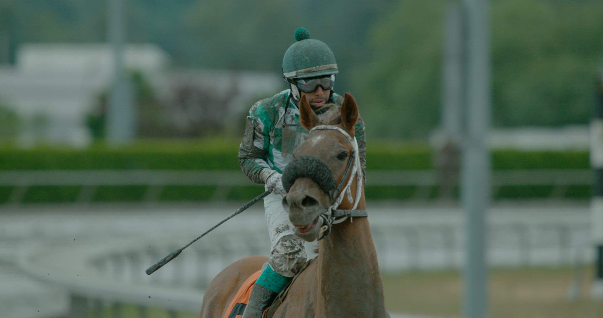 Horse Racing