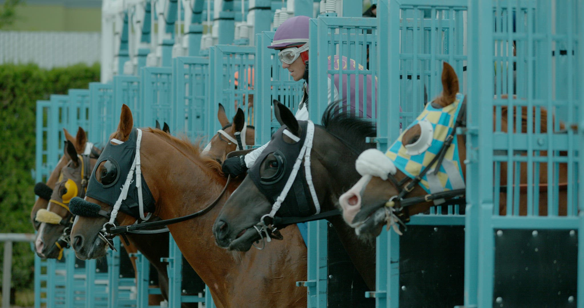 Horse Racing