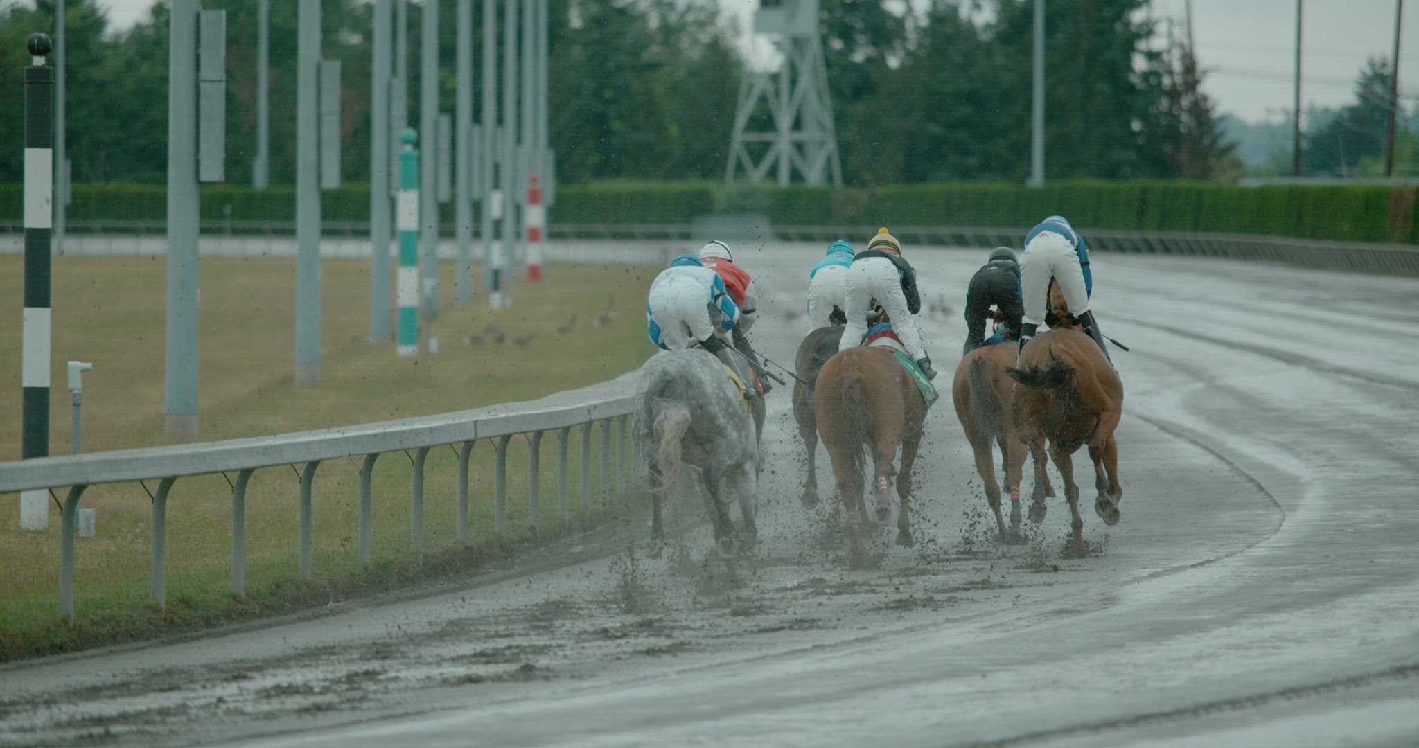Horse Racing