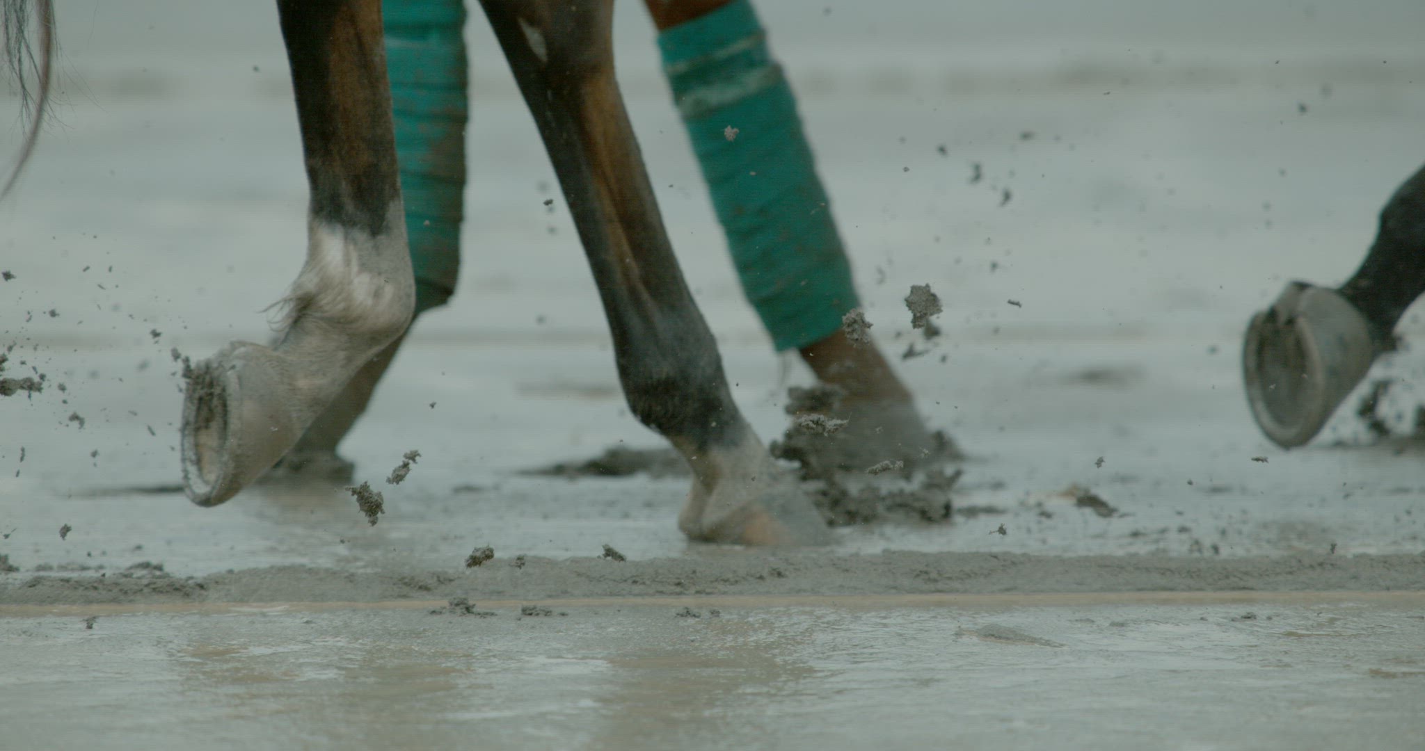 Horse Racing