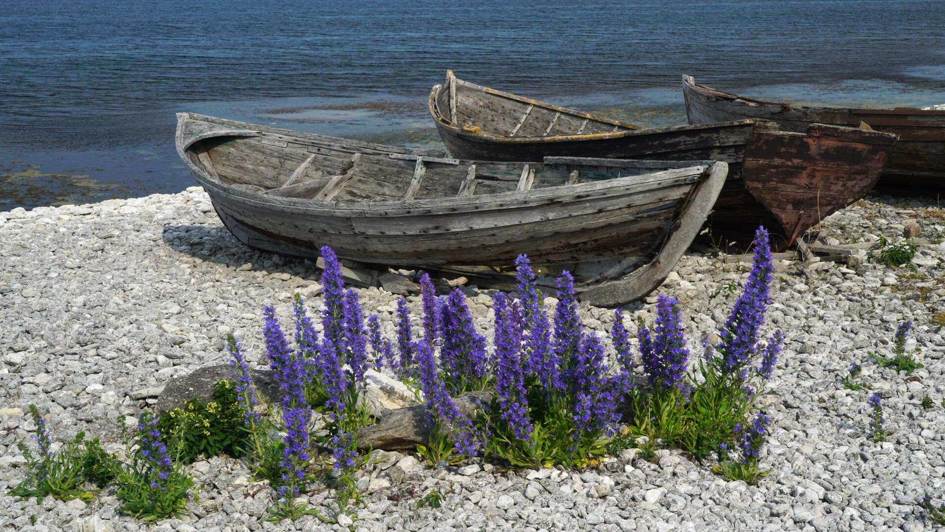 old boats at Helgumannen - old fishing village on Fårö, Gotland