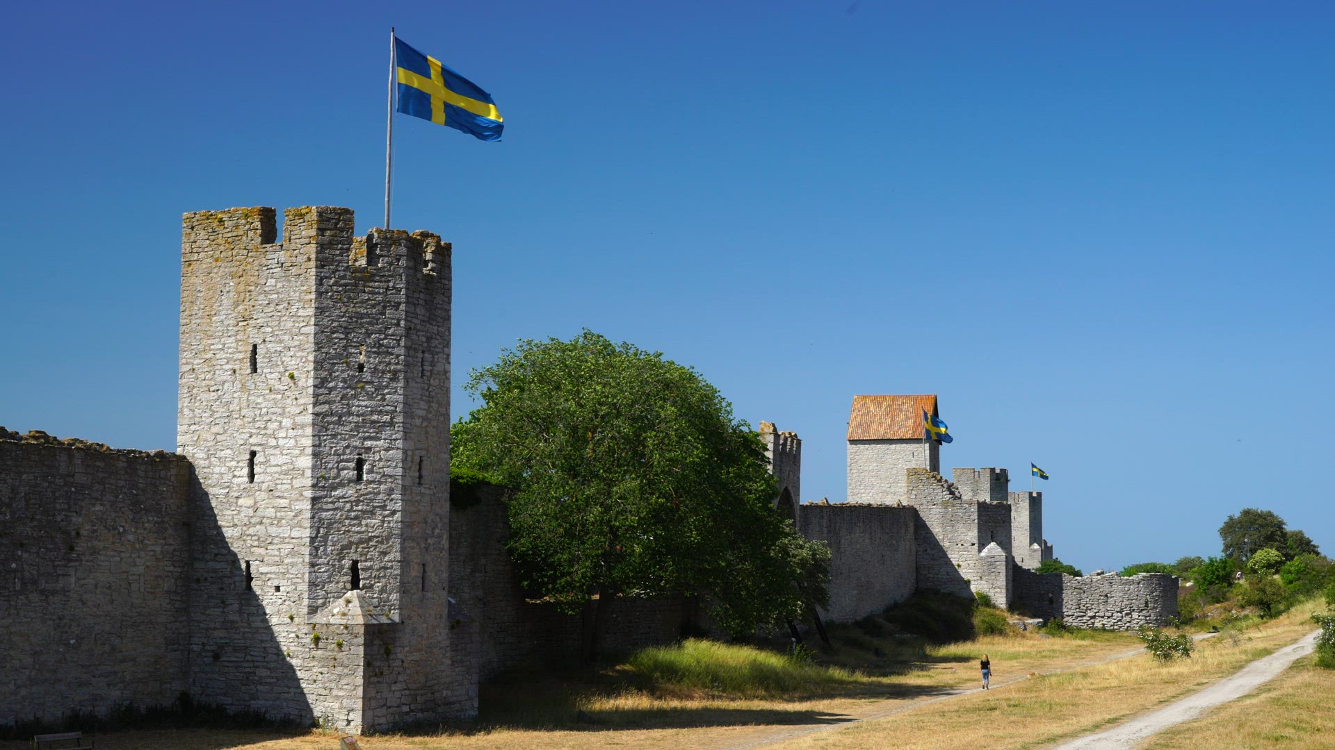 Visby City Wall on Gotland - woman walking with dog - leisure time - swedish flags