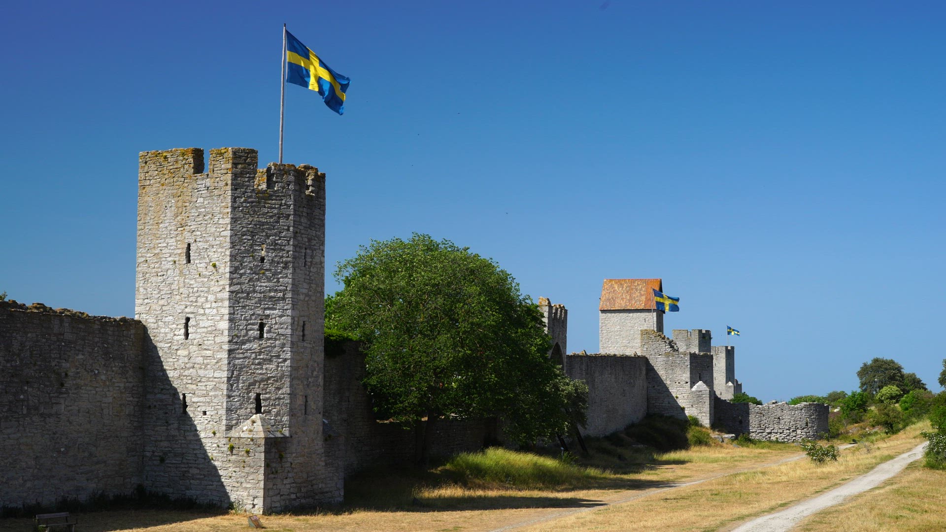 visby city wall - swedish flags in wind - woman walking with dog - Gotland