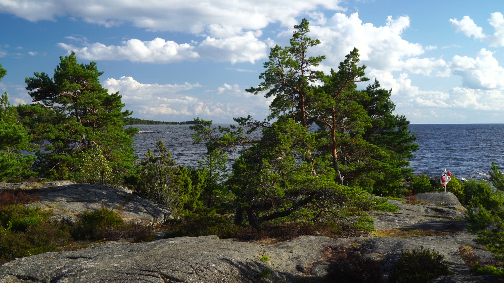 view over trees landscape and lake Vänern at Duse Udde Säffle - Värmland