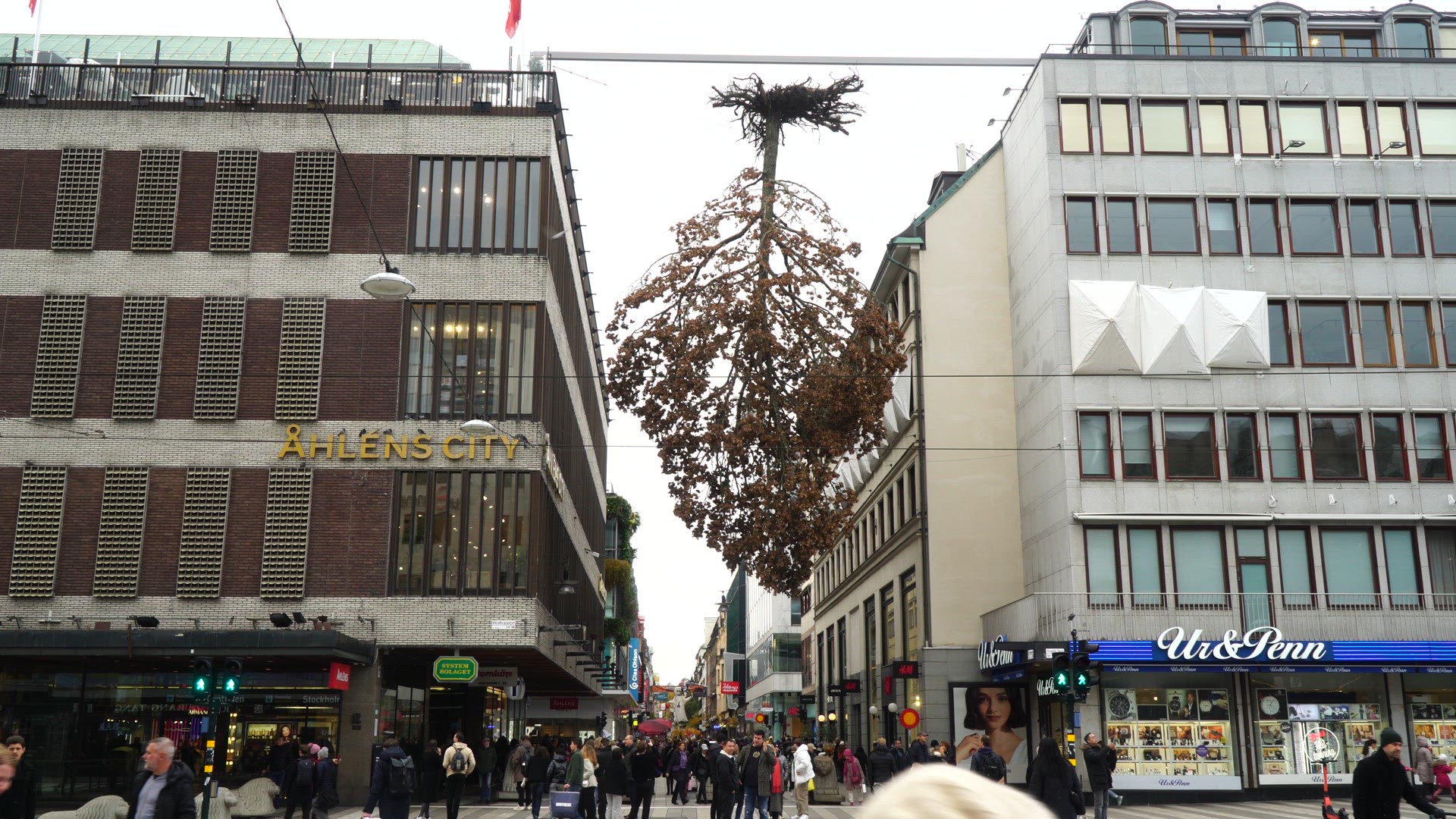 artwork above Drottninggatan in central Stockholm - tree hanging upside down - die for you