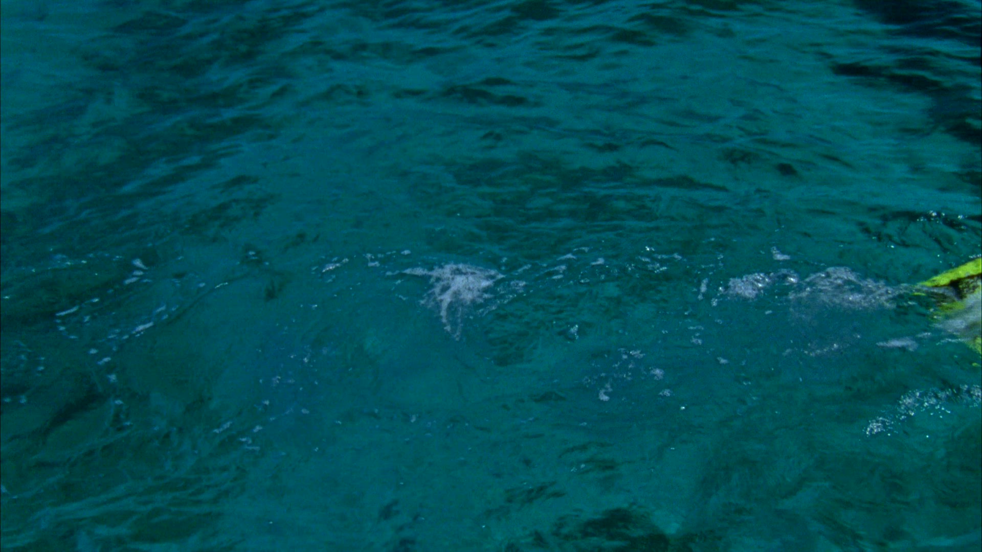 woman in bikini  snorkeling in turquoise water in Thailand - snorkel - flippers - three shots