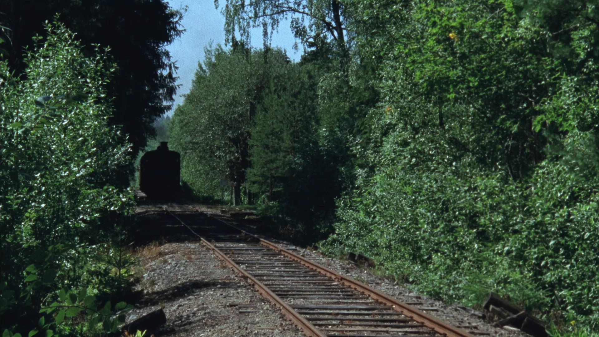steam train - railway through swedish forest