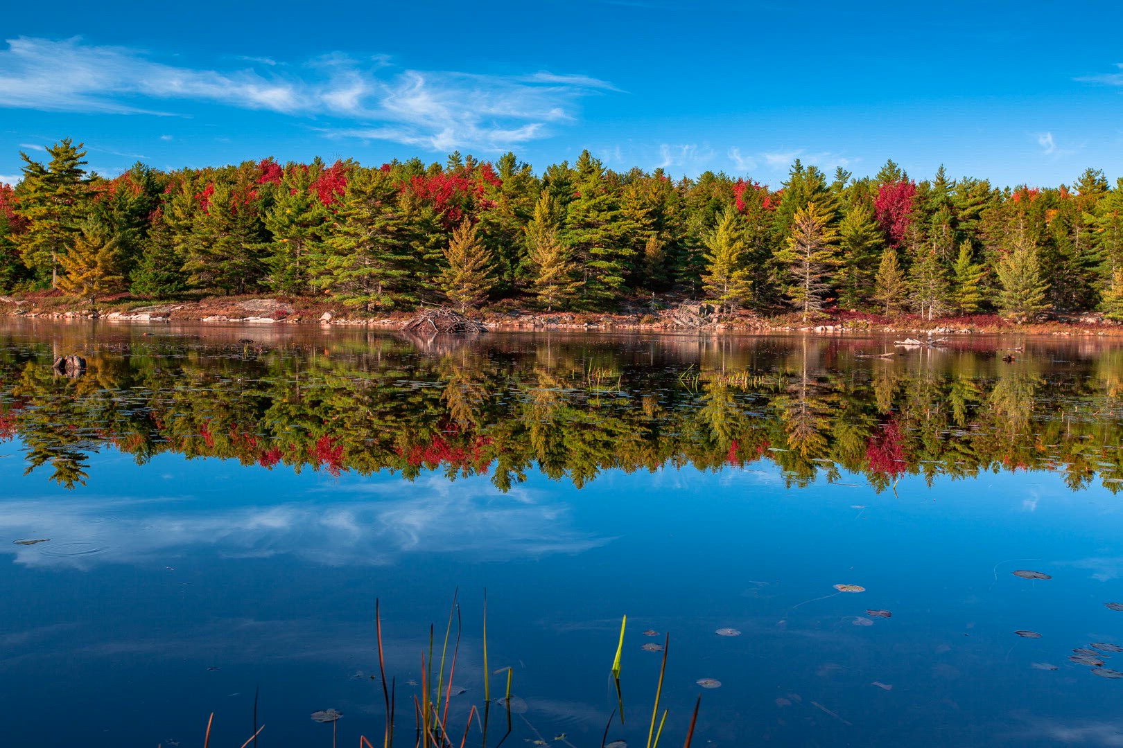 Lodge Pond