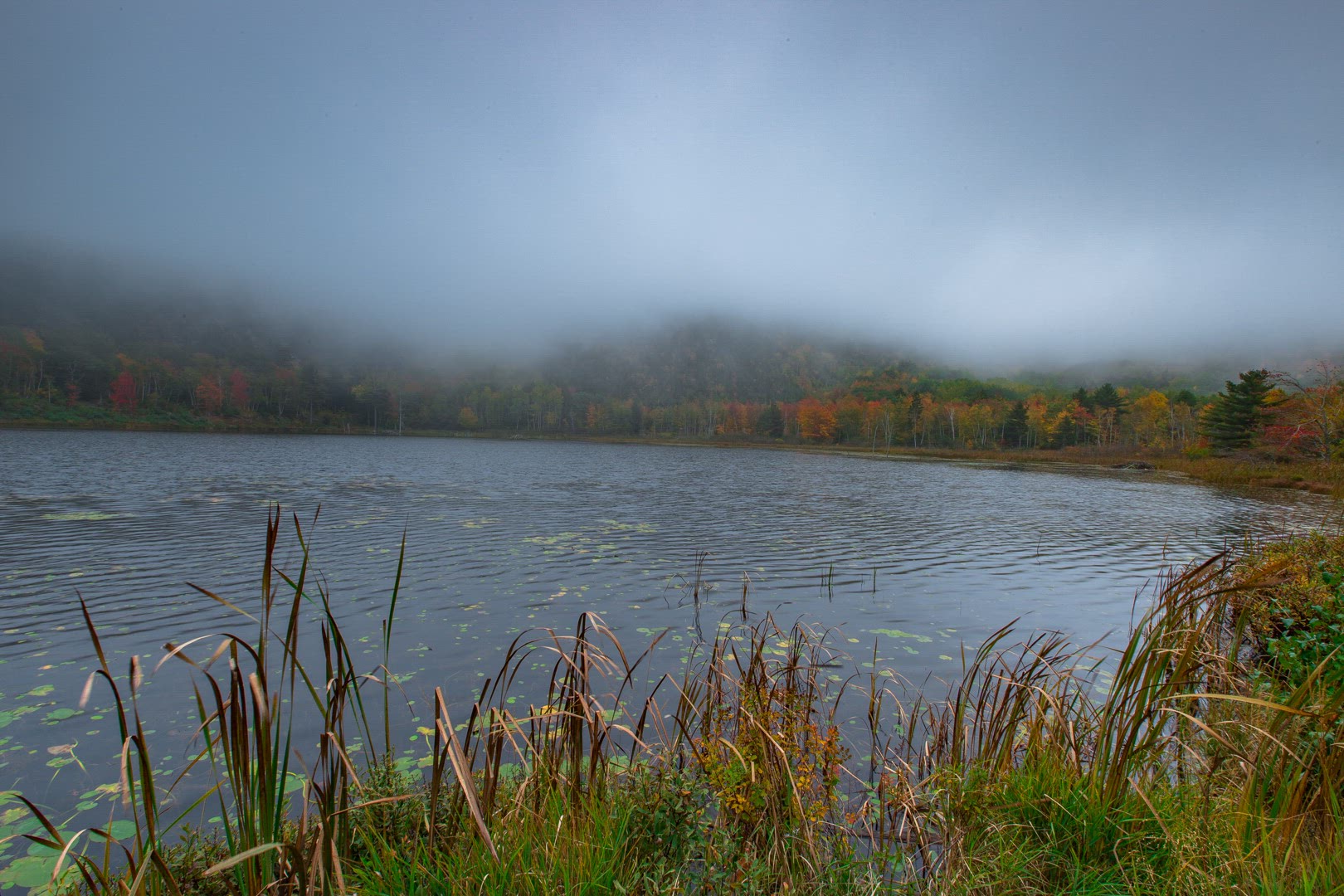 Fog on The Tarn