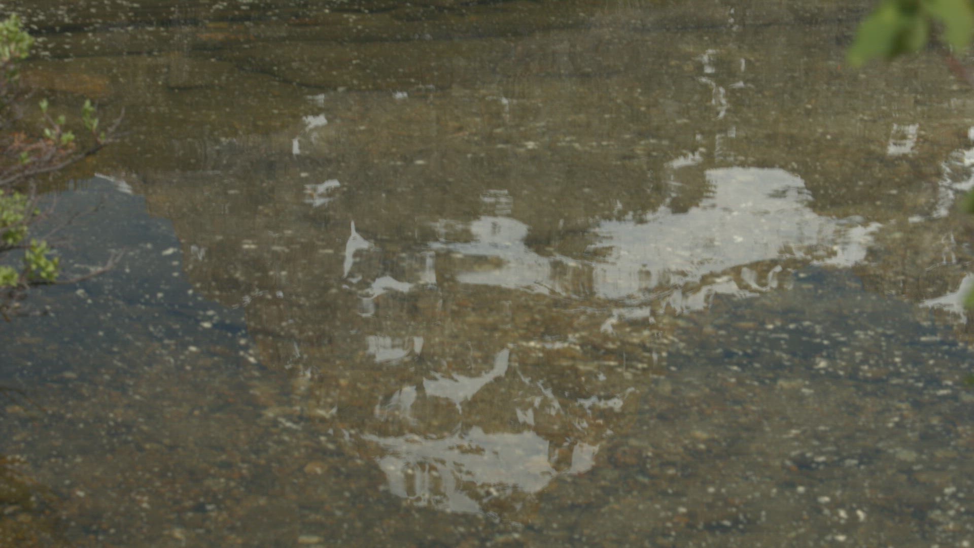 Shallow part of lake with reflections of light
