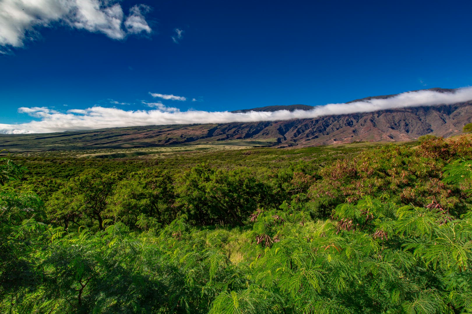 Timelapse mountain range, thin clouds, blue sky and trees UHD 8K