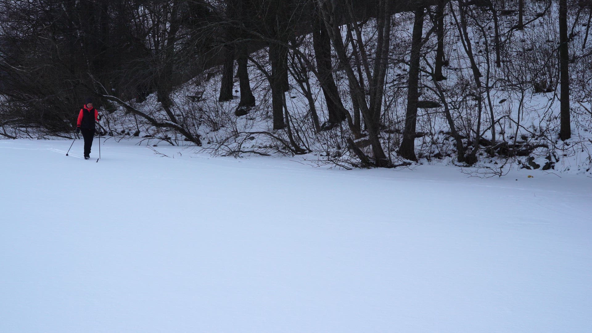 woman crosscountry skiing on lake - making tracks in snow