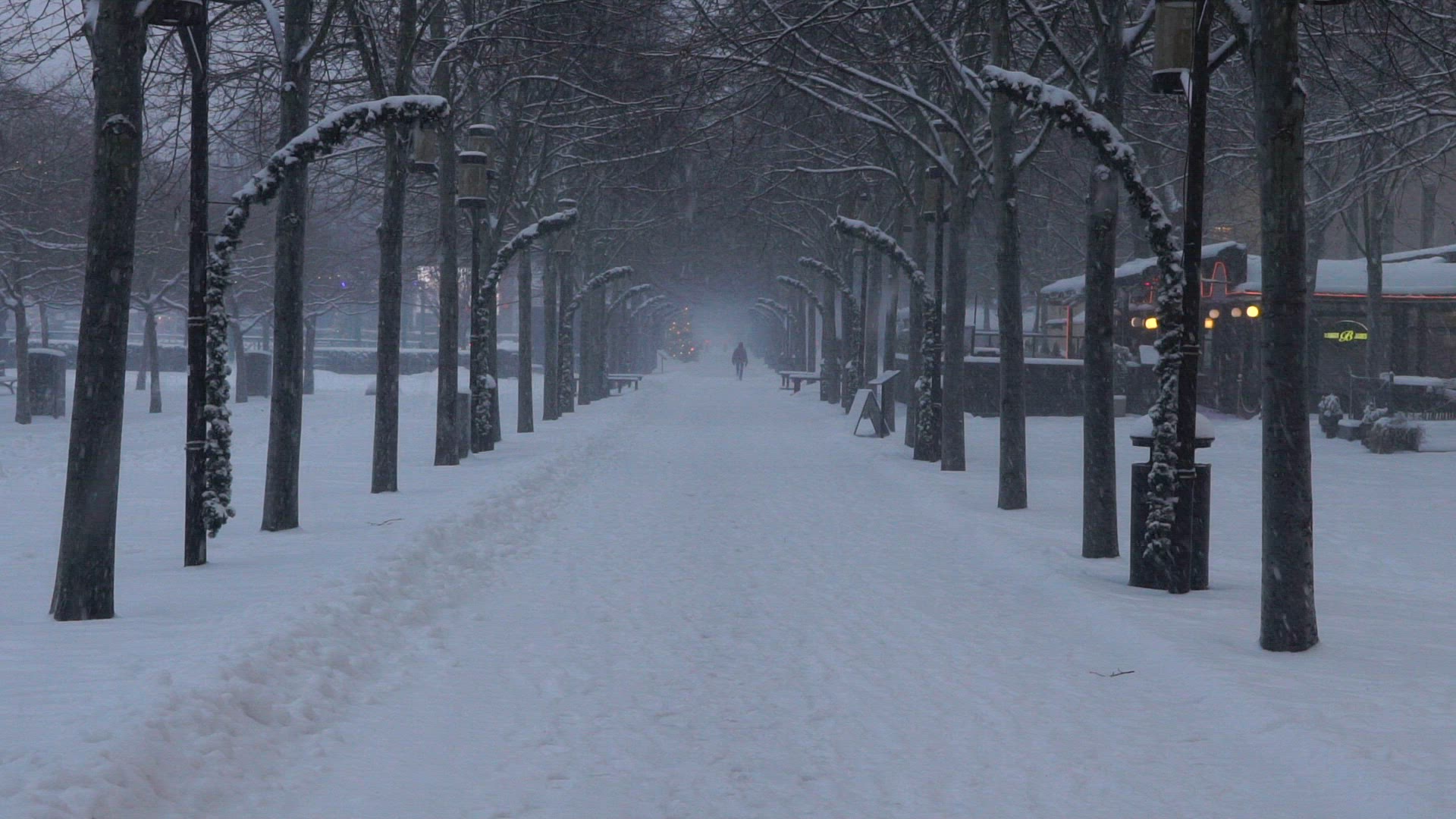 heavy snowfall in central stockholm - kungsträdgården - avenue - snow covered street