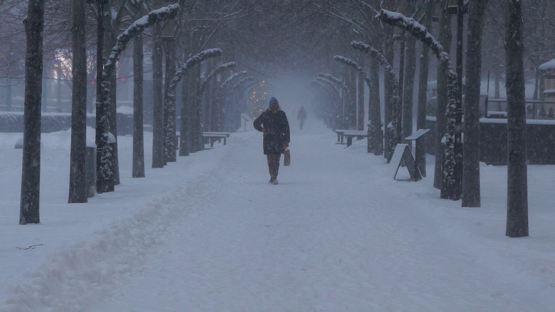 man walking through avenue in heavy snowfall - holding mobile phone - slow motion
