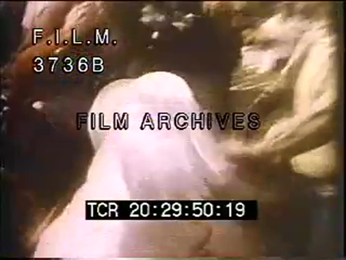 1970s IRAN - PART TWO