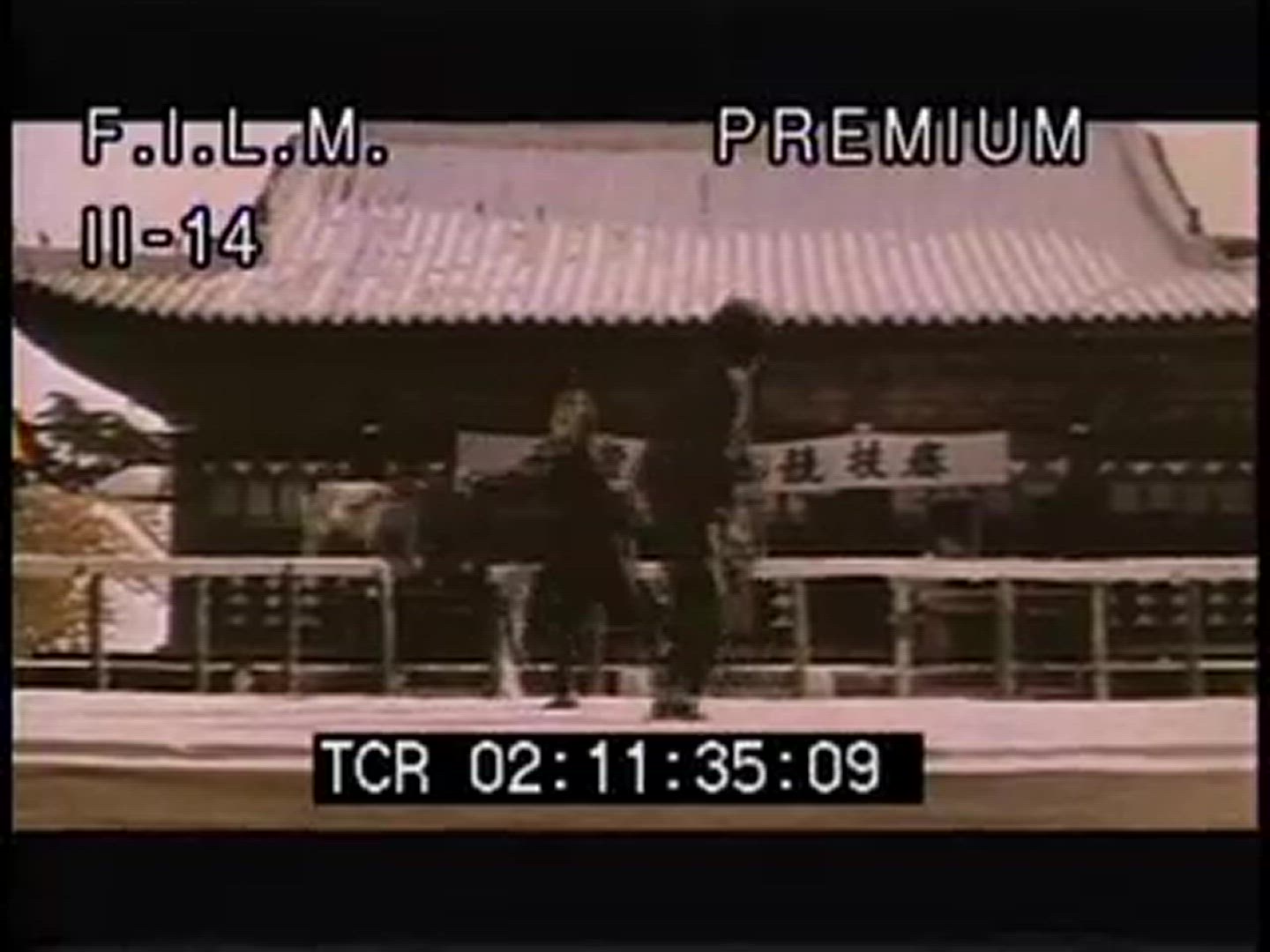 KUNG FU DIALOGUE &amp; FIGHTS II