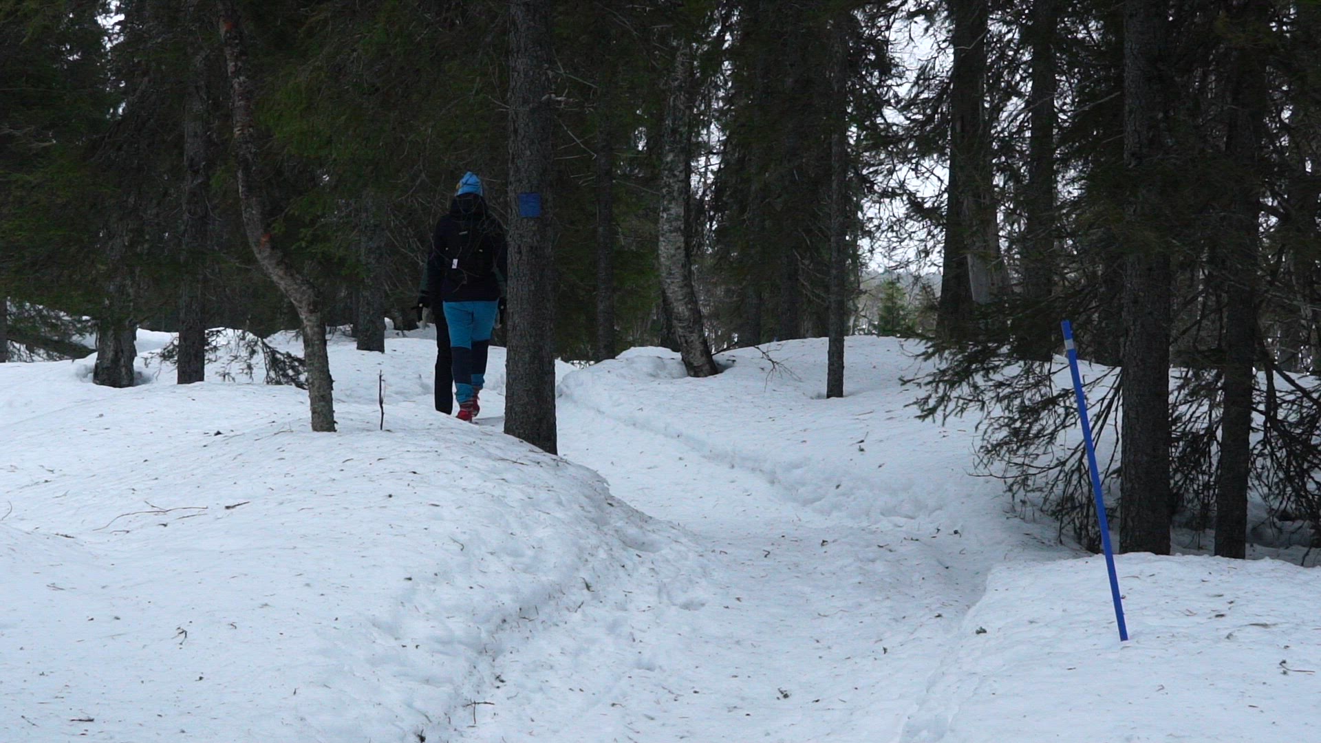 two female hikers in finnish forest - slowmotion.mp4