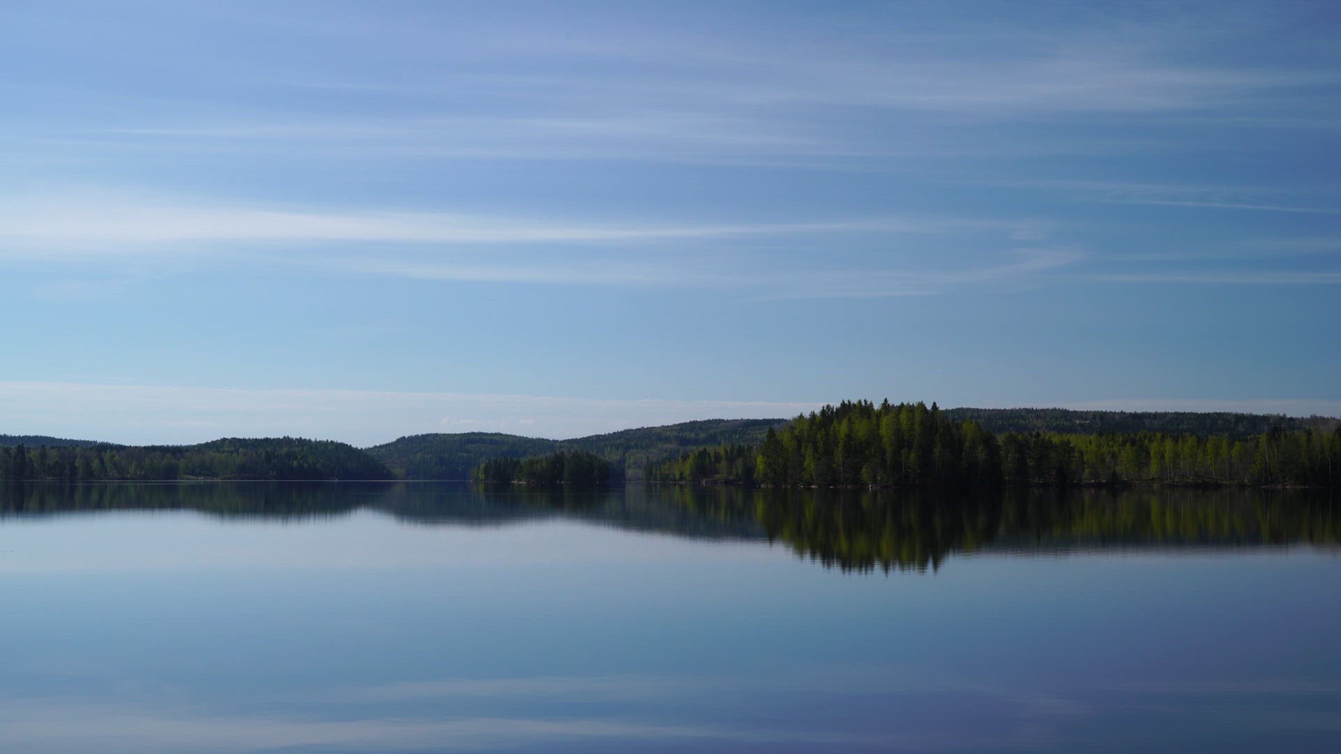 lake - early morning - geese flying.MP4