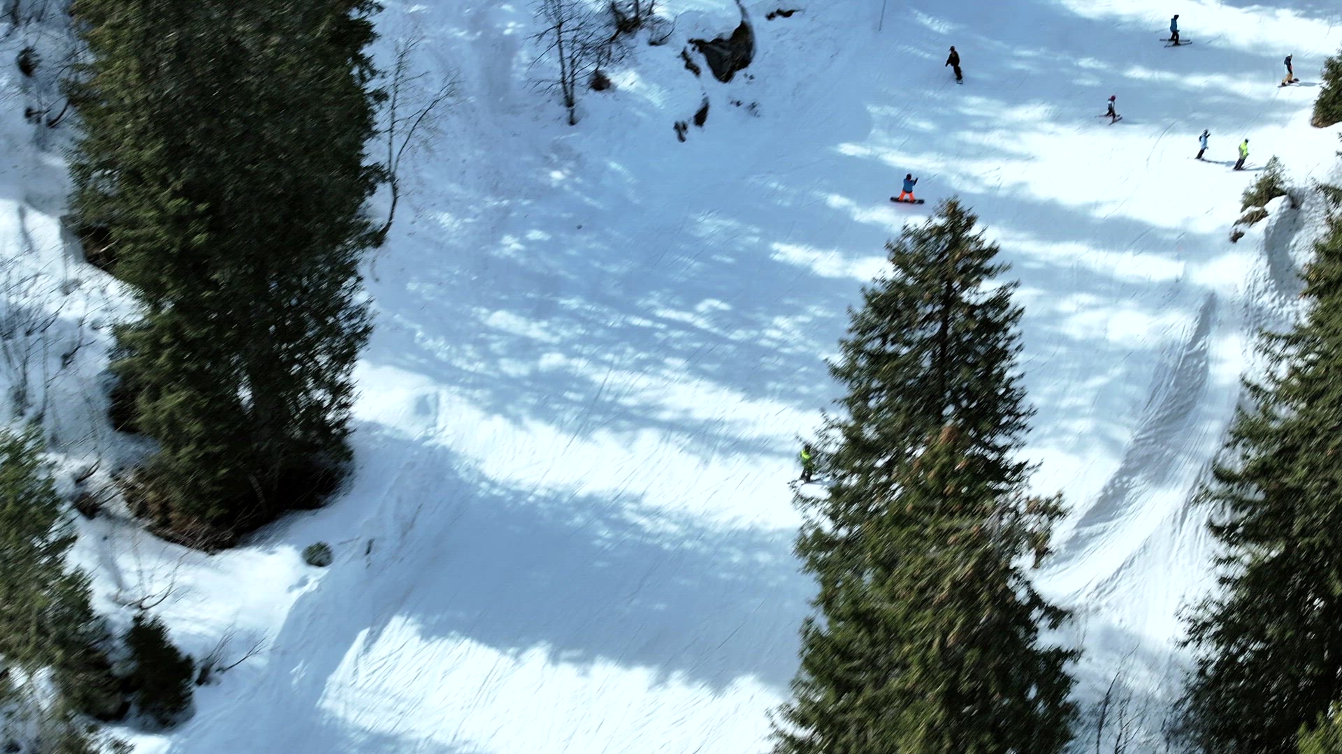 Skiing and Snowboarding Through a Forest Ski Run