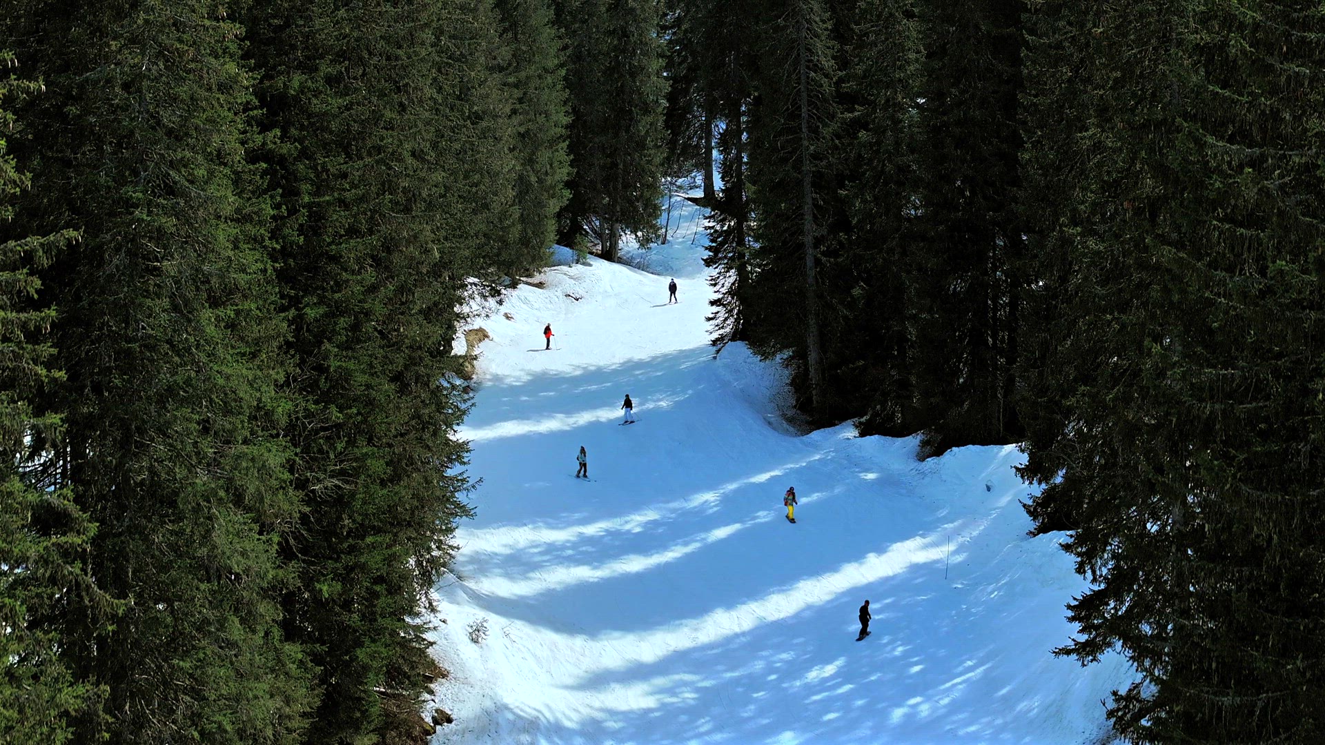 Skiing and Snowboarding Through a Forest Ski Run
