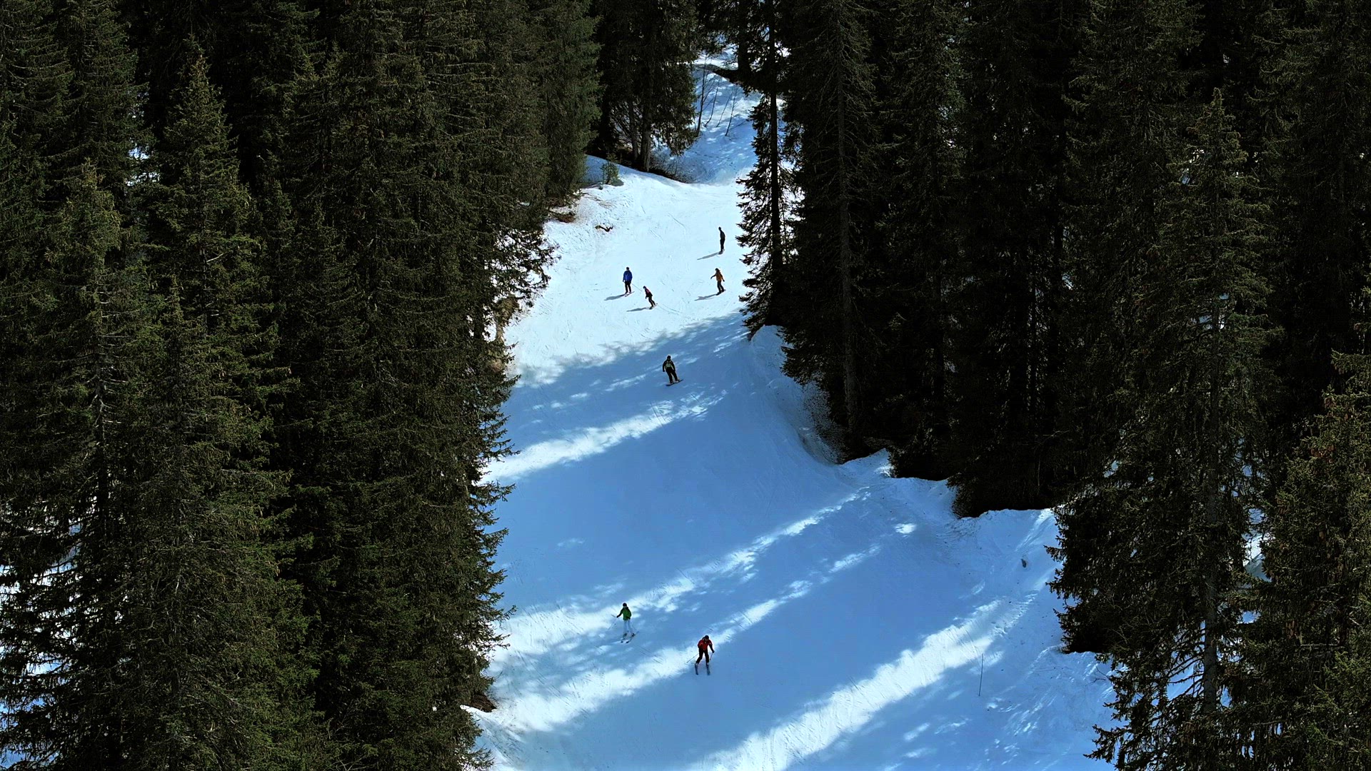 Skiing and Snowboarding Through a Forest Ski Run